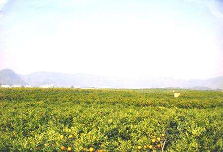 《源头农场志(1956-2005)》.pdf_广西壮族自治区志预览图1