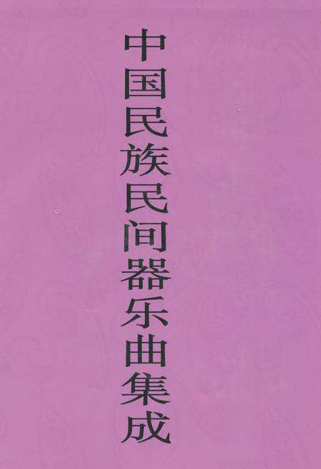 《中国民族民间器乐曲集成·广西卷(上册)》.pdf_广西壮族自治区志缩略图