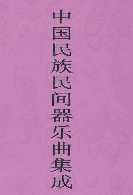 《中国民族民间器乐曲集成·广西卷(下册)》.pdf_广西壮族自治区志缩略图