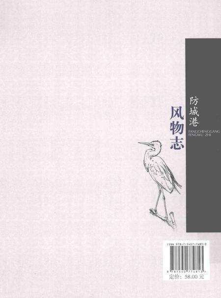 《防城港风物志》.pdf_广西壮族自治区志预览图2
