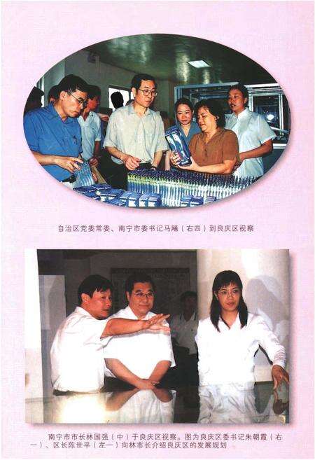 《扬帆启航良庆区》.pdf_广西壮族自治区志预览图5