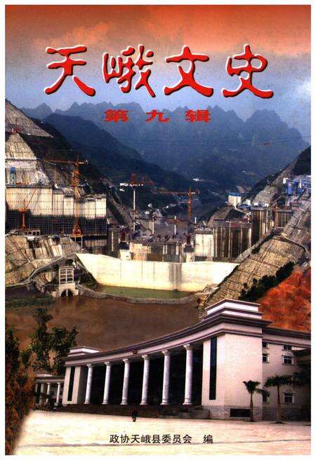 《天峨文史 第九辑》.pdf_广西壮族自治区志缩略图