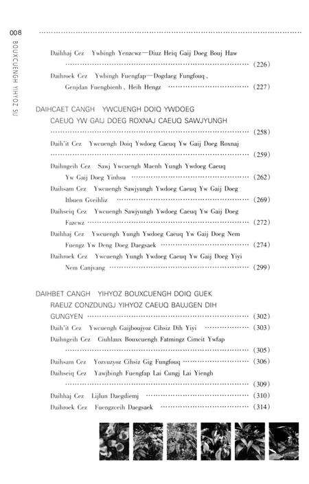 《壮族医学史》.pdf_广西壮族自治区志预览图5