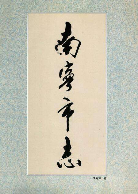 《南宁市志经济卷上》.pdf_广西壮族自治区志预览图5