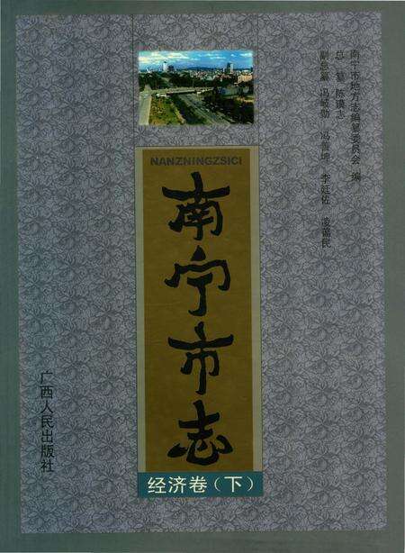 《南宁市志经济卷下》.pdf_广西壮族自治区志缩略图