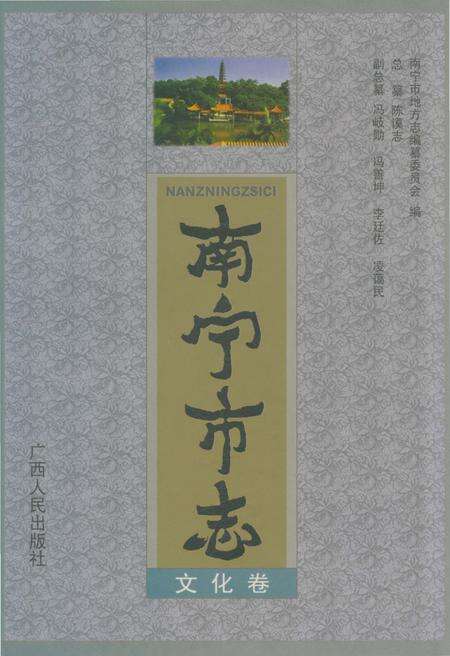 《南宁市志文化志》.pdf_广西壮族自治区志缩略图