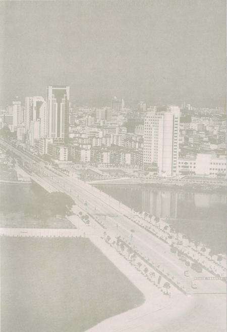 《南宁市志文化志》.pdf_广西壮族自治区志预览图5