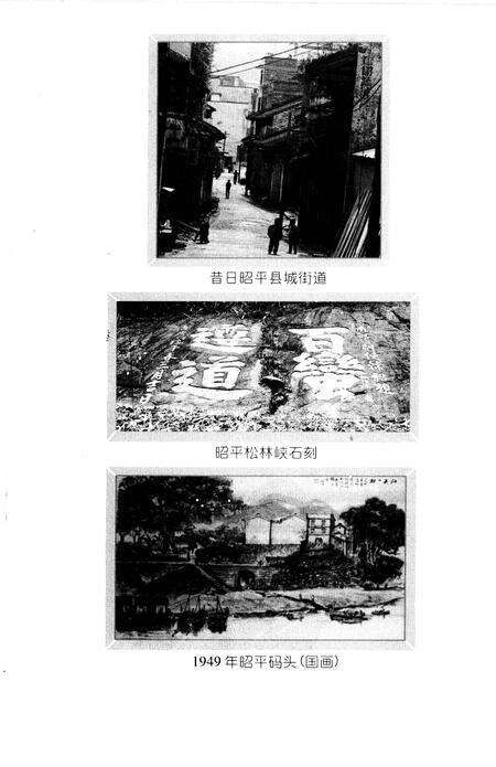 《昭平文史》.pdf_广西壮族自治区志预览图2
