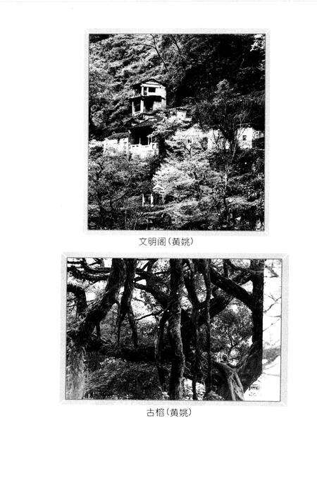 《昭平文史》.pdf_广西壮族自治区志预览图3
