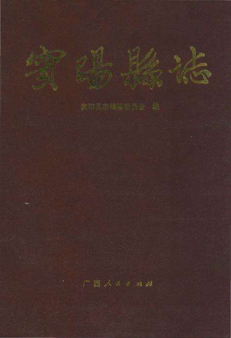 《宾阳县志》.pdf_广西壮族自治区志缩略图