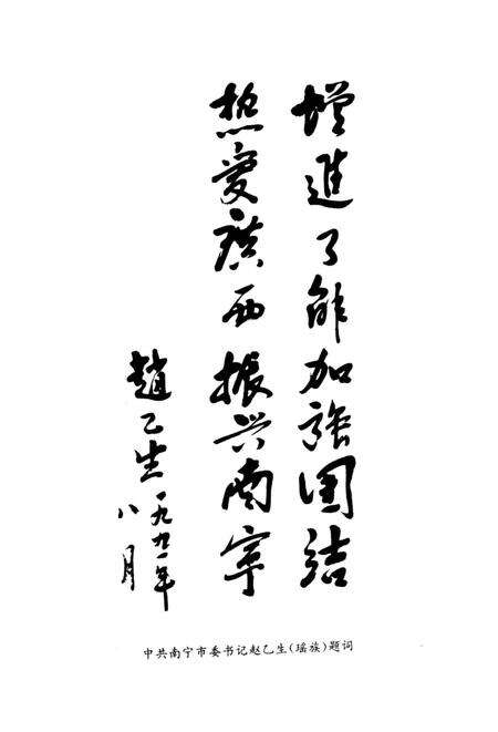 《南宁市民族简志》.pdf_广西壮族自治区志预览图3