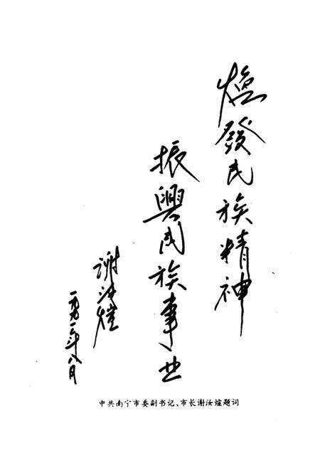 《南宁市民族简志》.pdf_广西壮族自治区志预览图4