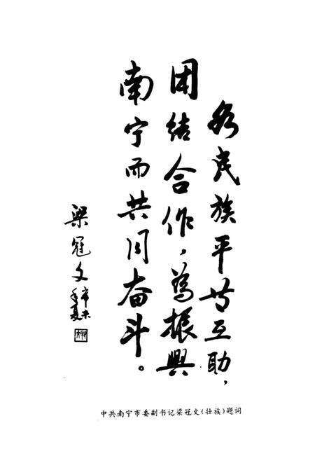 《南宁市民族简志》.pdf_广西壮族自治区志预览图5