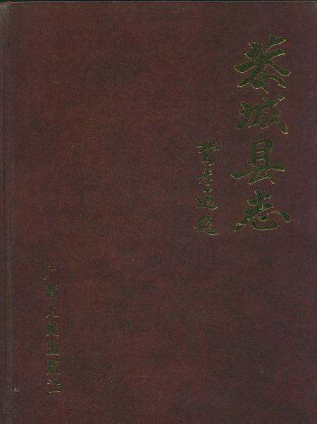 《恭城县志》.pdf_广西壮族自治区志缩略图