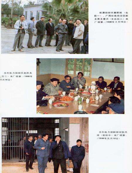 《柳州电厂志》.pdf_广西壮族自治区志预览图4