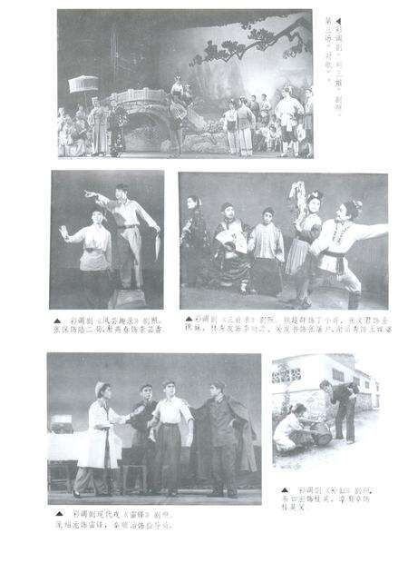 《柳州市文化志》.pdf_广西壮族自治区志预览图4