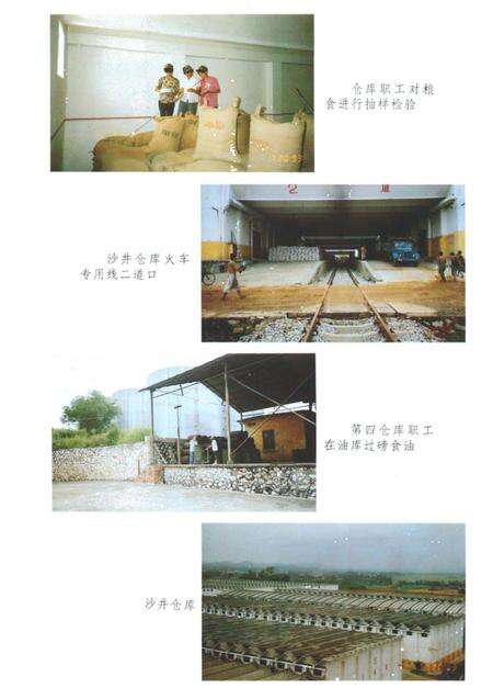 《南宁市粮食志》.pdf_广西壮族自治区志预览图4