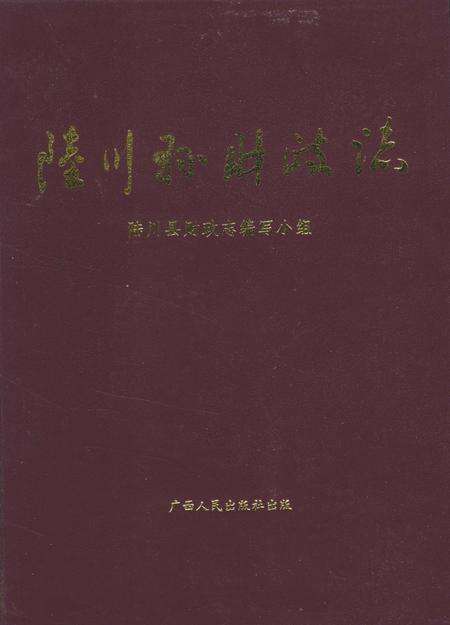 《陆川县财政志》.pdf_广西壮族自治区志缩略图