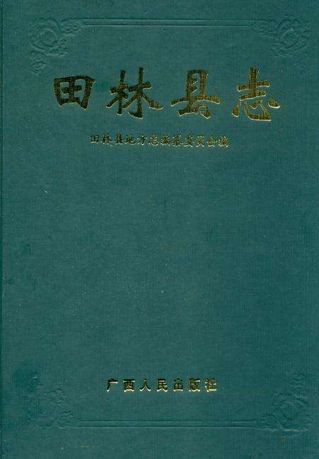 《田林县志》.pdf_广西壮族自治区志缩略图