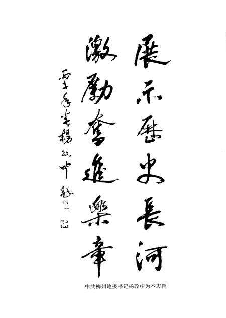 《柳州市柳南区志》.pdf_广西壮族自治区志预览图4