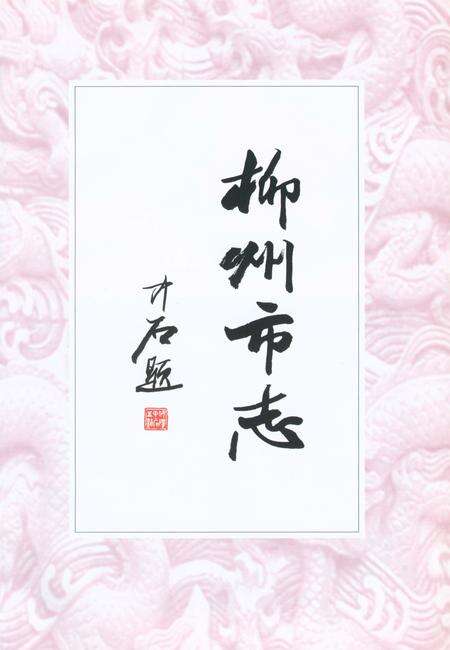 《柳州市志》.pdf_广西壮族自治区志预览图2