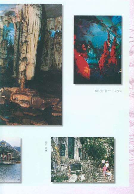 《柳州市志》.pdf_广西壮族自治区志预览图5
