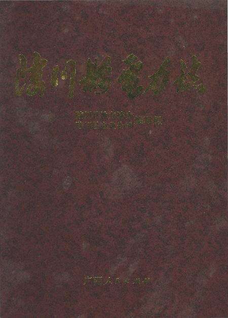 《陆川县电力志》.pdf_广西壮族自治区志缩略图