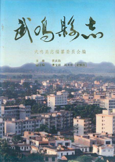 《武鸣县志》.pdf_广西壮族自治区志缩略图