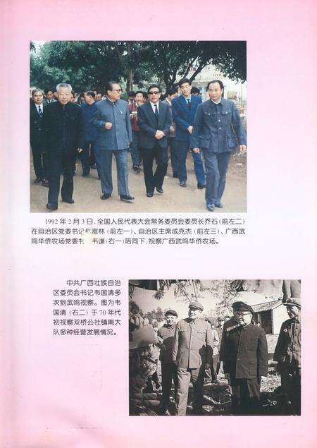 《武鸣县志》.pdf_广西壮族自治区志预览图5