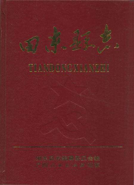 《田东县志》.pdf_广西壮族自治区志缩略图
