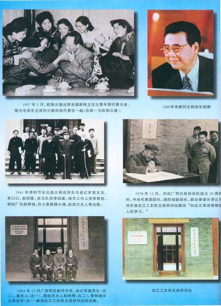 《田东县志》.pdf_广西壮族自治区志预览图5