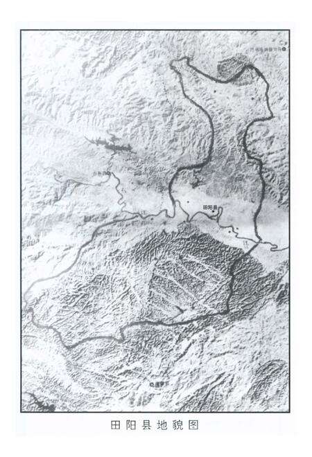 《田阳县志》.pdf_广西壮族自治区志预览图3