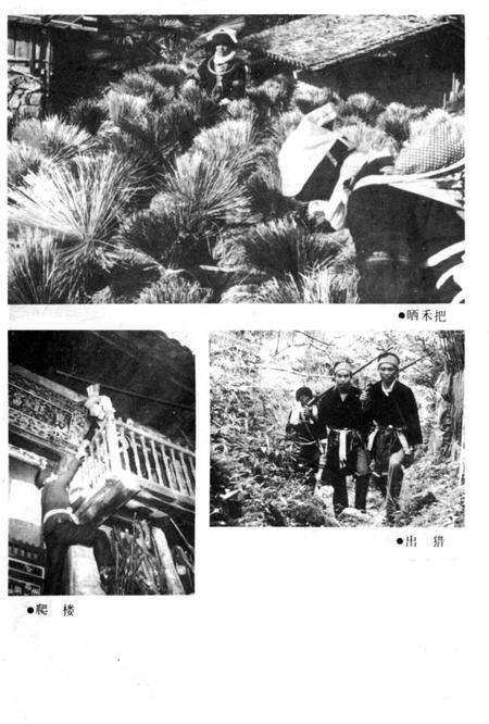 《大瑶山风情》.pdf_广西壮族自治区志预览图3