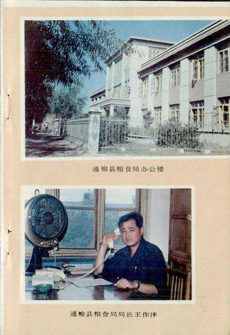 《通榆县粮食志》.pdf_吉林省志预览图2