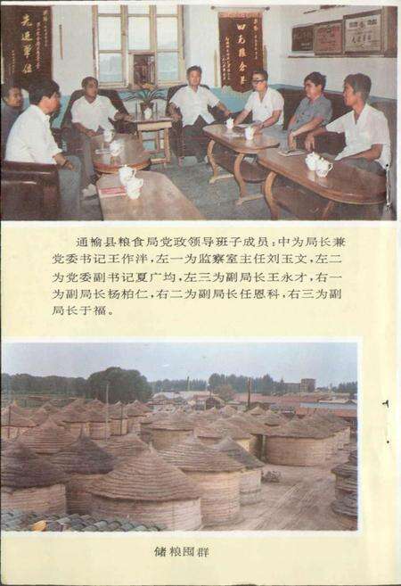 《通榆县粮食志》.pdf_吉林省志预览图3