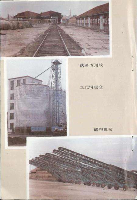 《通榆县粮食志》.pdf_吉林省志预览图5