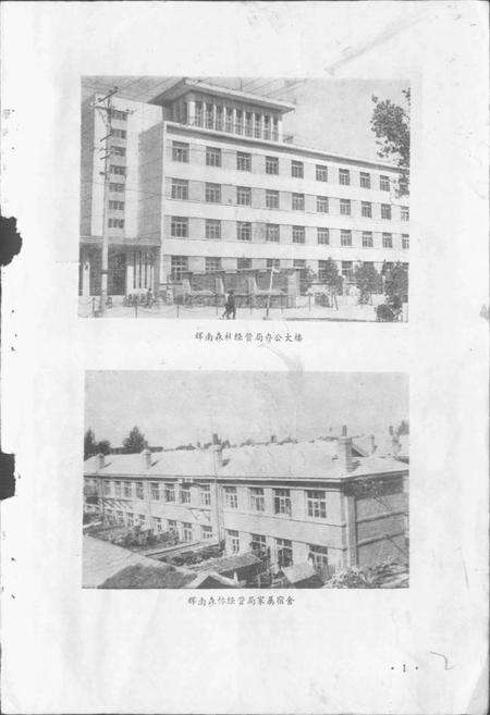 《辉南森林经营局志》.pdf_吉林省志预览图3