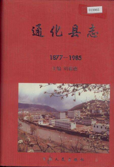《通化县志》.pdf_吉林省志缩略图