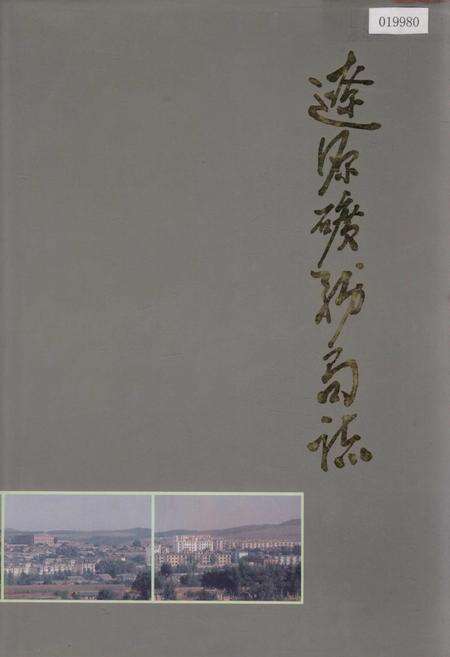 《辽源矿务局志》.pdf_吉林省志缩略图