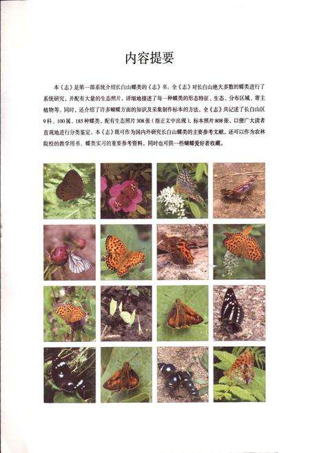 《中国长白山蝶类彩色图志》.pdf_吉林省志预览图3