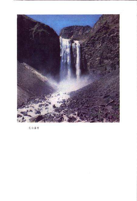 《长白山东北部野生经济植物志》.pdf_吉林省志预览图3