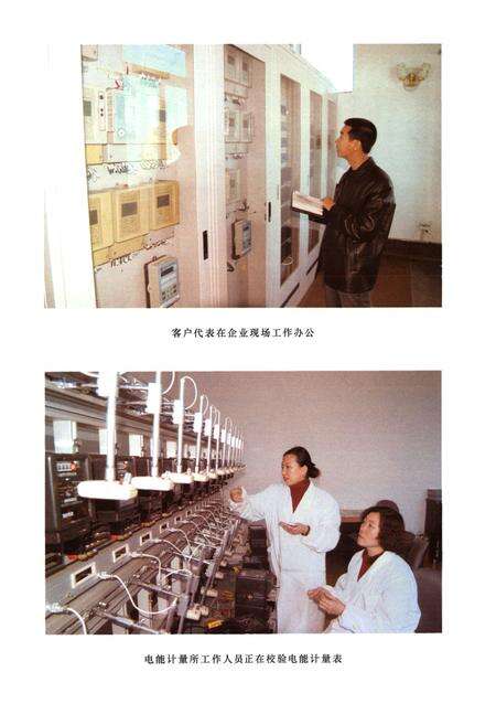 《辽源供电志(第二卷)(2000-2004)》.pdf_吉林省志预览图5