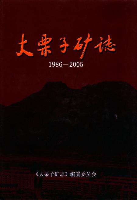 《大栗子矿志(1986-2005)》.pdf_吉林省志缩略图