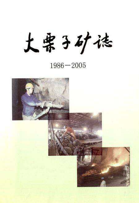 《大栗子矿志(1986-2005)》.pdf_吉林省志预览图1