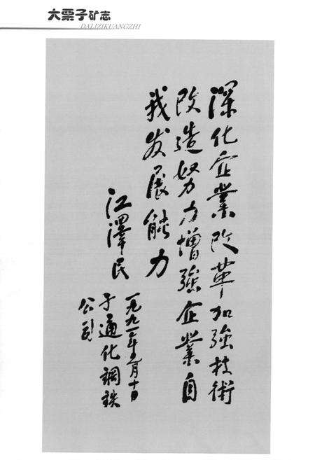 《大栗子矿志(1986-2005)》.pdf_吉林省志预览图2