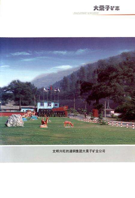 《大栗子矿志(1986-2005)》.pdf_吉林省志预览图3