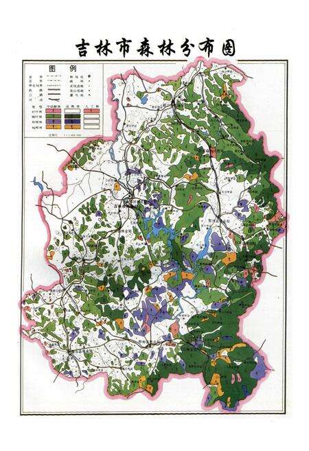 《吉林市林业志(1988~2003)》.pdf_吉林省志预览图5