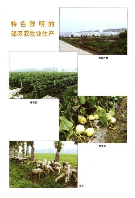 《长春市郊区志(1989~1995)》.pdf_吉林省志预览图5