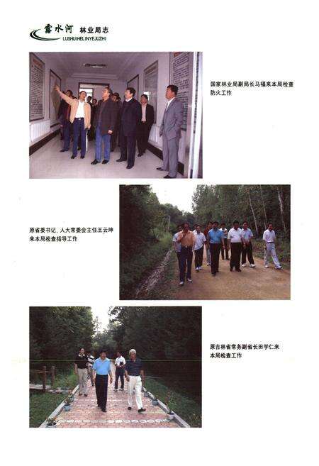 《露水河林业局志(2003-2007)》.pdf_吉林省志预览图5