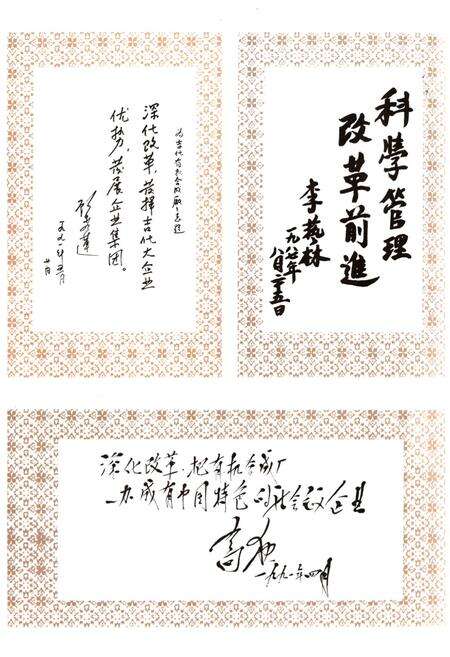 《吉林化学工业公司有机合成厂志(1976-1988)》.pdf_吉林省志预览图2